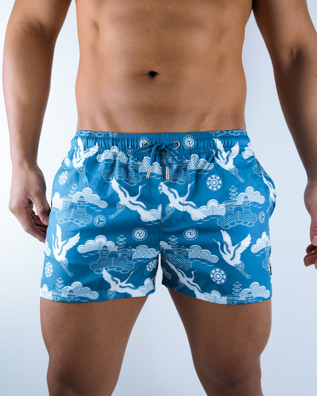 Ocean Temple Matching Set - Swim Brief & Shorts